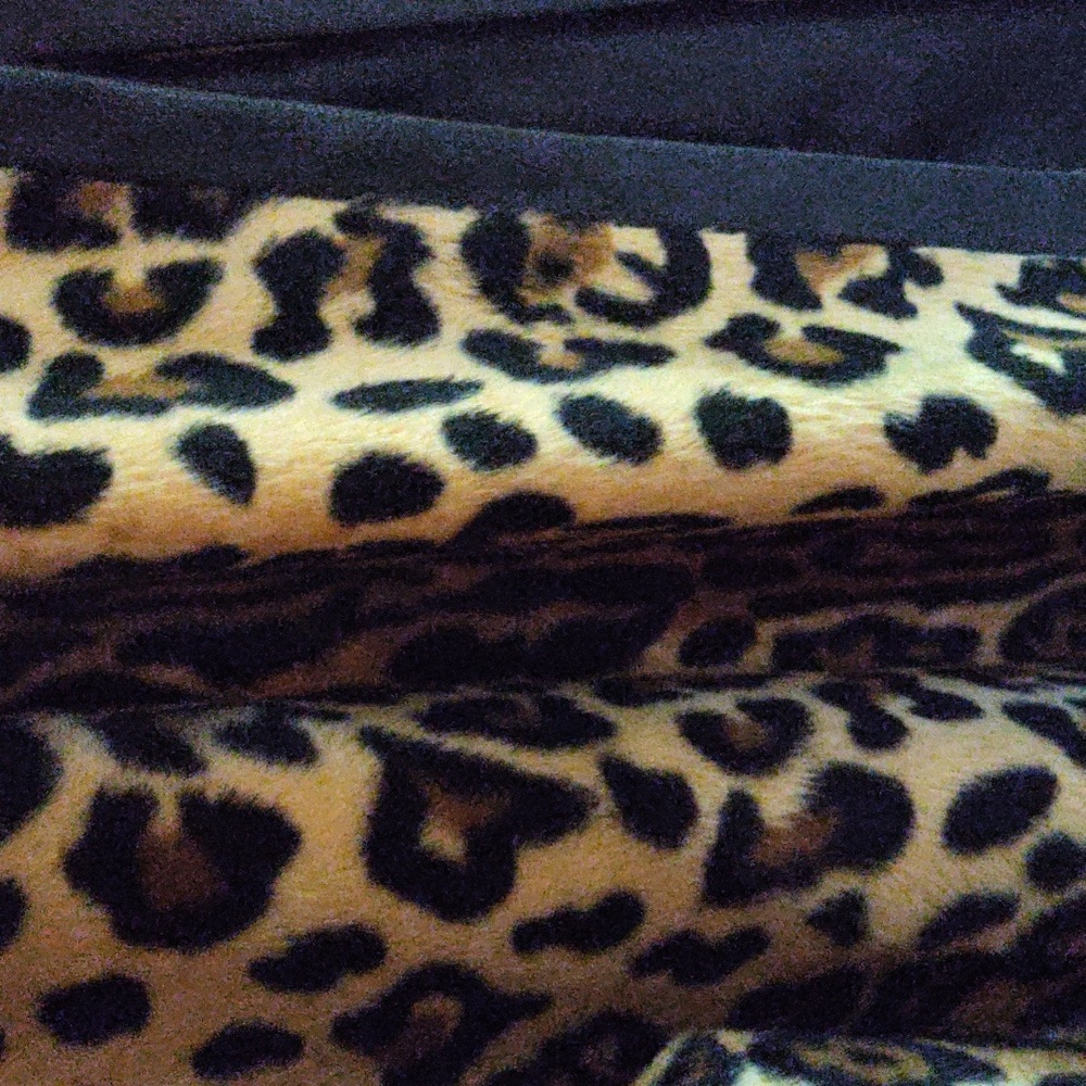 Coat - Picture 7 of 9